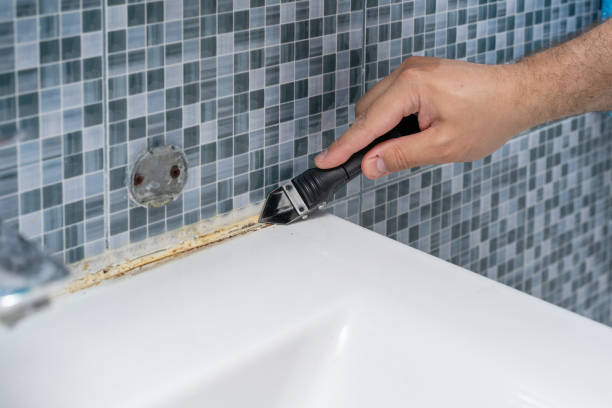 Best Home Mold Removal  in Running Springs, CA