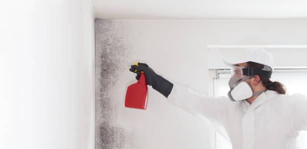 Best Mold Testing  in Running Springs, CA