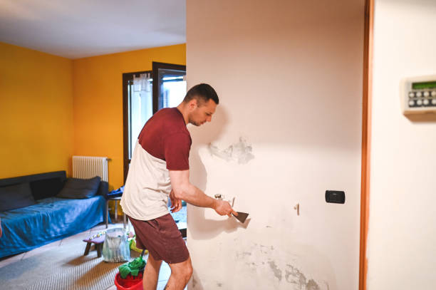 Best Residential Mold Removal  in Running Springs, CA